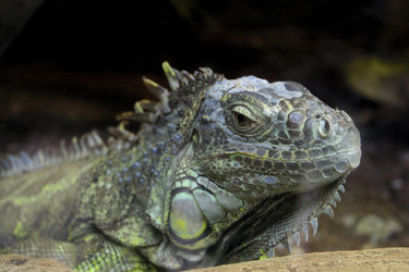 Similar image 8202795