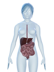 Similar image 8202820