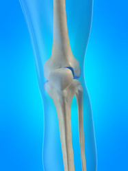 Similar image 8202833