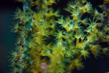 Similar image 8202863