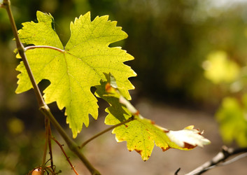 Similar image 8202869