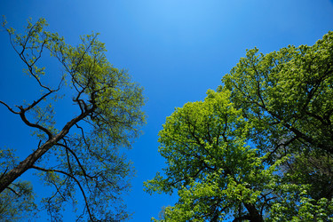 Similar image 8202885