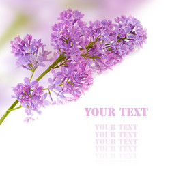 Similar image 8202905