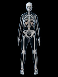 Similar image 8202960