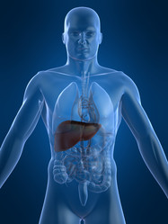 Similar image 8202970