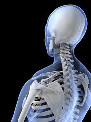 Similar image 8203007