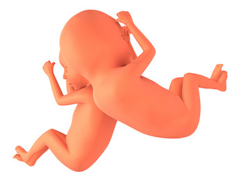 Similar image 8203019