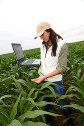 Similar image 8203052