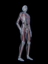 Similar image 8203108