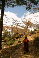 Similar image 8203112