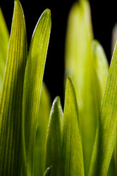 Similar image 8203113