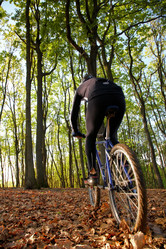 Similar image 8203134