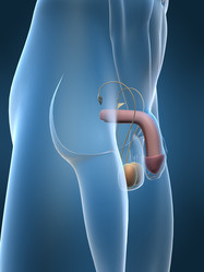 Similar image 8203137