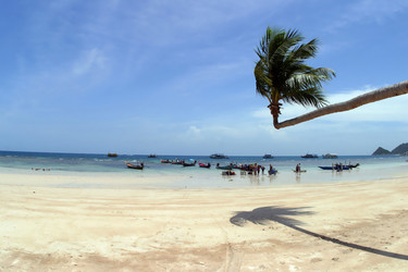 Similar image 8203172