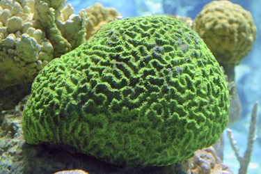 Similar image 8203176