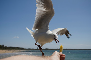 Similar image 8203207