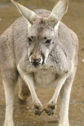 Similar image 8203227