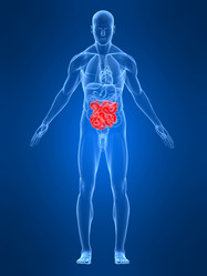 Similar image 8203267