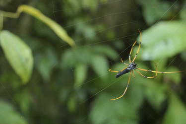 Similar image 8203275