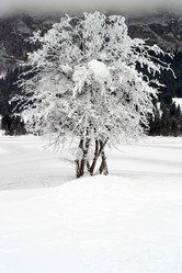 Similar image 8203301