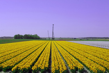 Similar image 8203319