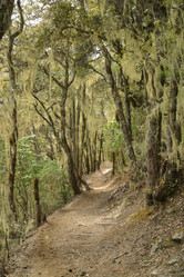 Similar image 8203367