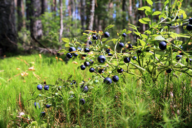 Similar image 8203380