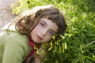 Similar image 8203393