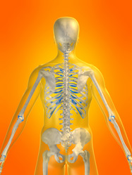 Similar image 8203406