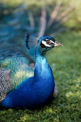 Similar image 8203445