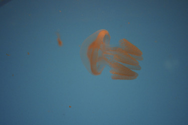 Similar image 8203471