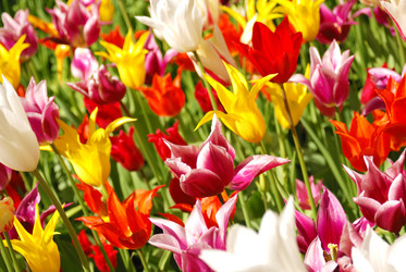 Similar image 8203476