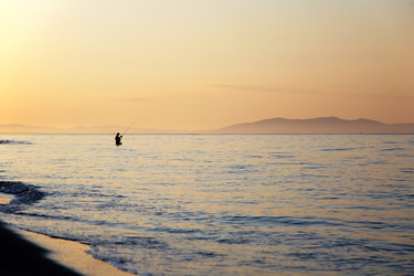 Similar image 8203481