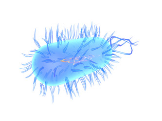 Similar image 8203495