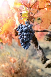 Similar image 8203517