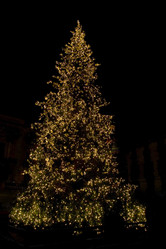 Similar image 8203521