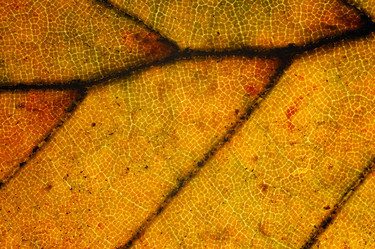 Similar image 8203523