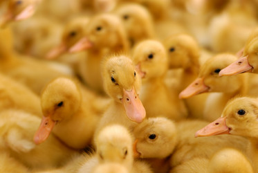 Similar image 8203524