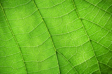 Similar image 8203531