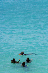 Similar image 8203539