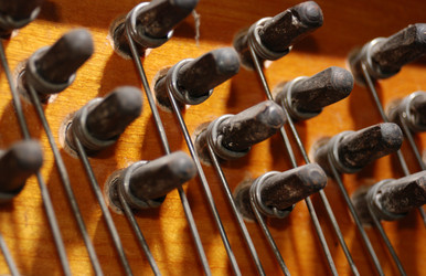 Similar image 8203563