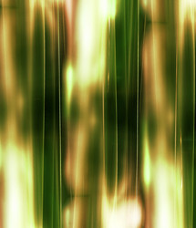 Similar image 8203571