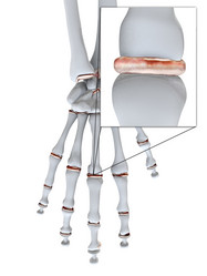 Similar image 8203597