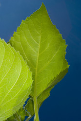 Similar image 8203610