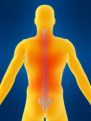 Similar image 8203613