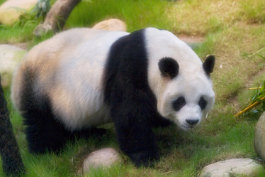 Similar image 8203726