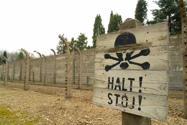 Similar image 8203746