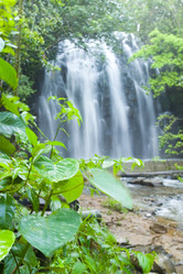 Similar image 8203759