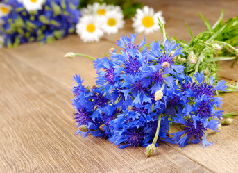 Similar image 8203784