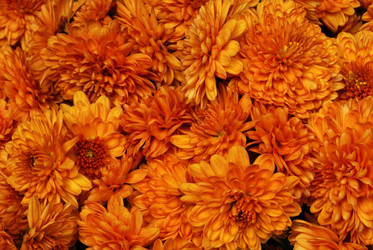 Similar image 8203821